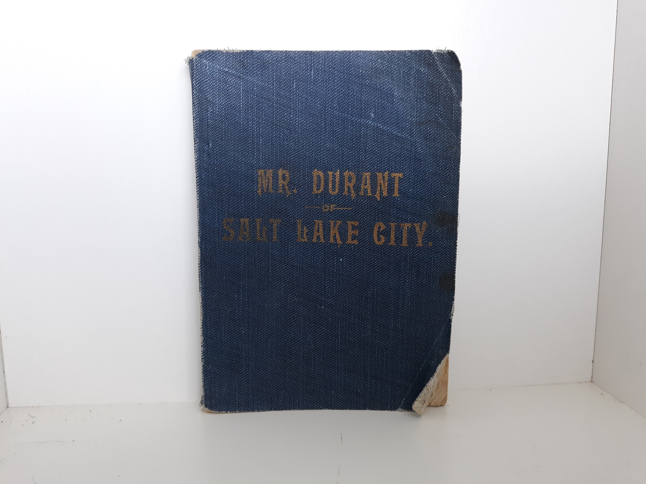 Mr. Durant of Salt Lake City (1905) ~ by Ben E. Rich
