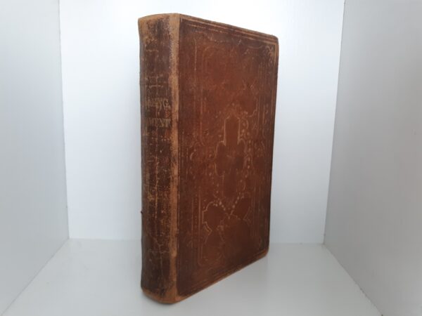 Dan. & Eng. Testament (1873)