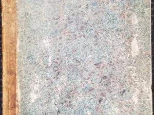 1869 — Bound Volume — Deseret News — Vol. XVIII, No.1 thru No.52 (1870) — Rare Volume!