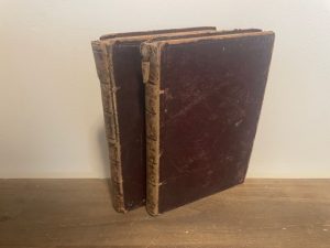 1850 ~ An Elementary Course of Geology, Mineralogy and Physical Geography ~ David T. Ansted, M. A., F. R. S. (2 Vol Set)