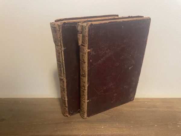 1850 ~ An Elementary Course of Geology, Mineralogy and Physical Geography ~ David T. Ansted, M. A., F. R. S. (2 Vol Set)
