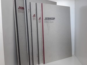 AMCAP: Association of Mormon Counselors and Psychotherapists 5 Assorted Issues