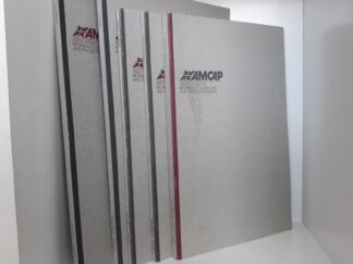 AMCAP: Association of Mormon Counselors and Psychotherapists 5 Assorted Issues