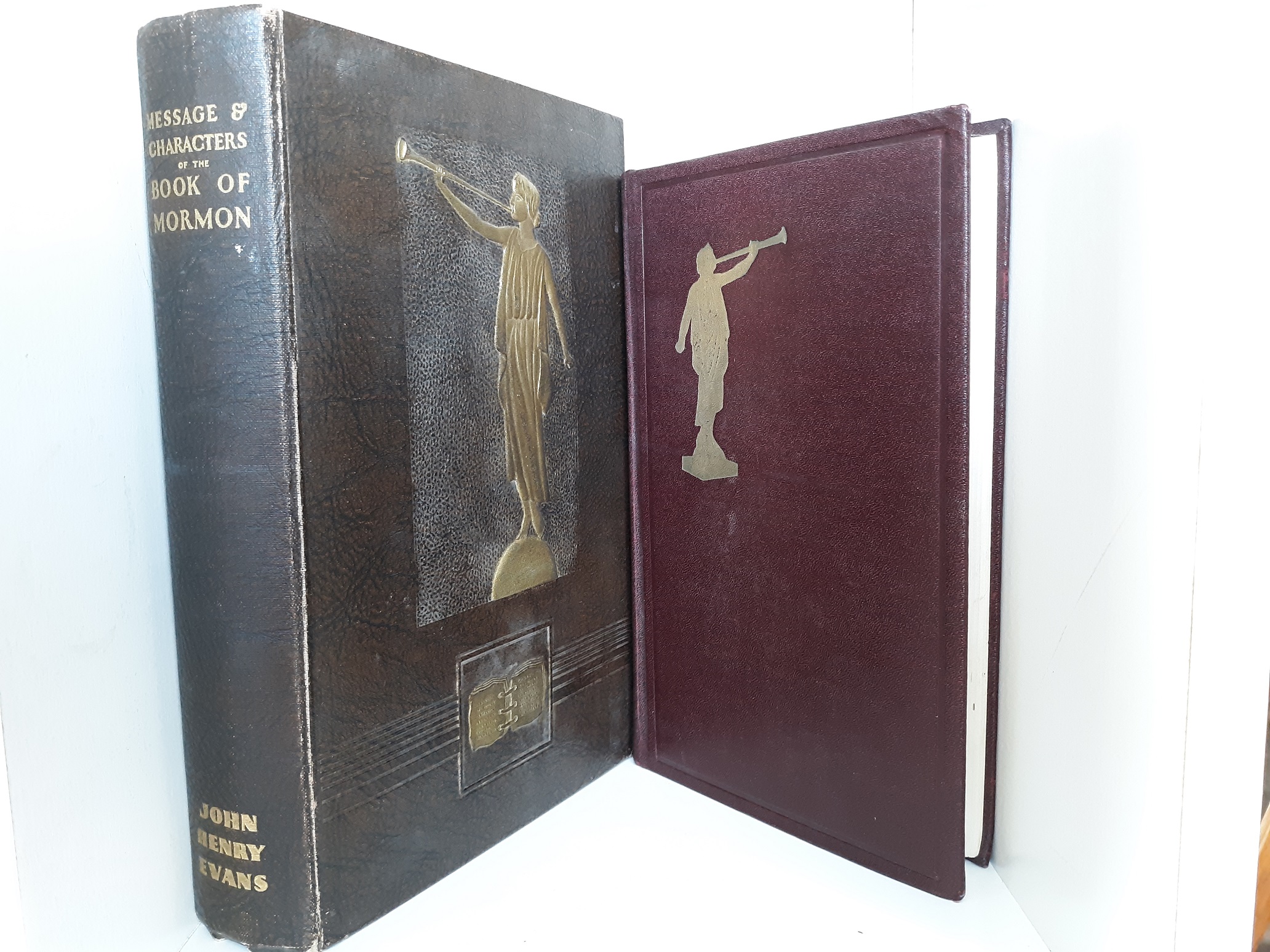 2 LDS Books (See Details)