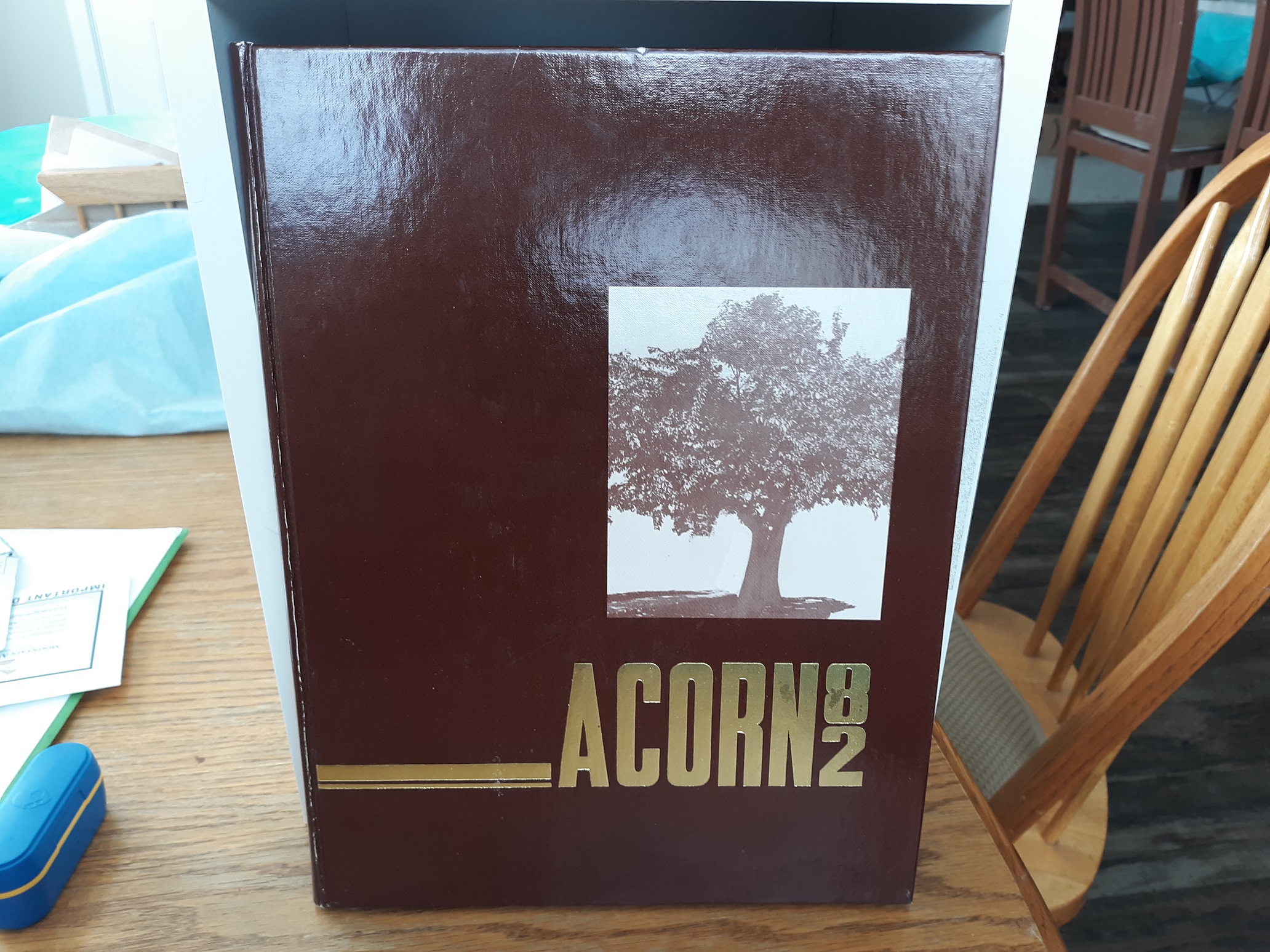 Acorn: 1982 (Weber State College Yearbook) (1982)
