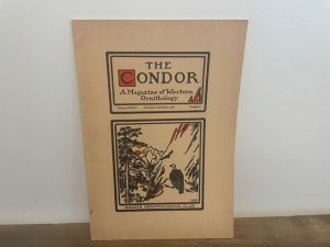 1935 ~ The Condor A Magazine of Western Ornithology ~ Vol. 37, No. 6