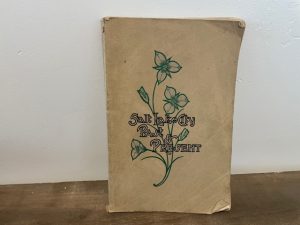 1908 ~ Salt Lake City Past & Present ~ E. V. Fohlin