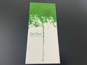 Tree Tour ~ Brigham Young University