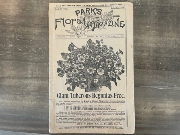 1897 ~ Par's Floral Magazine ~ Vol. 13, No. 6
