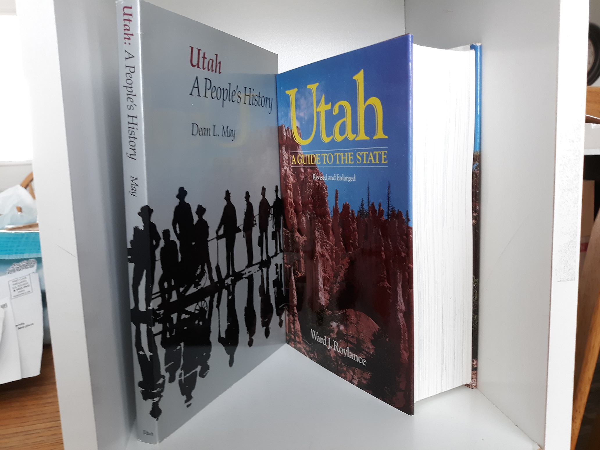 2 Books about Utah (See Details)