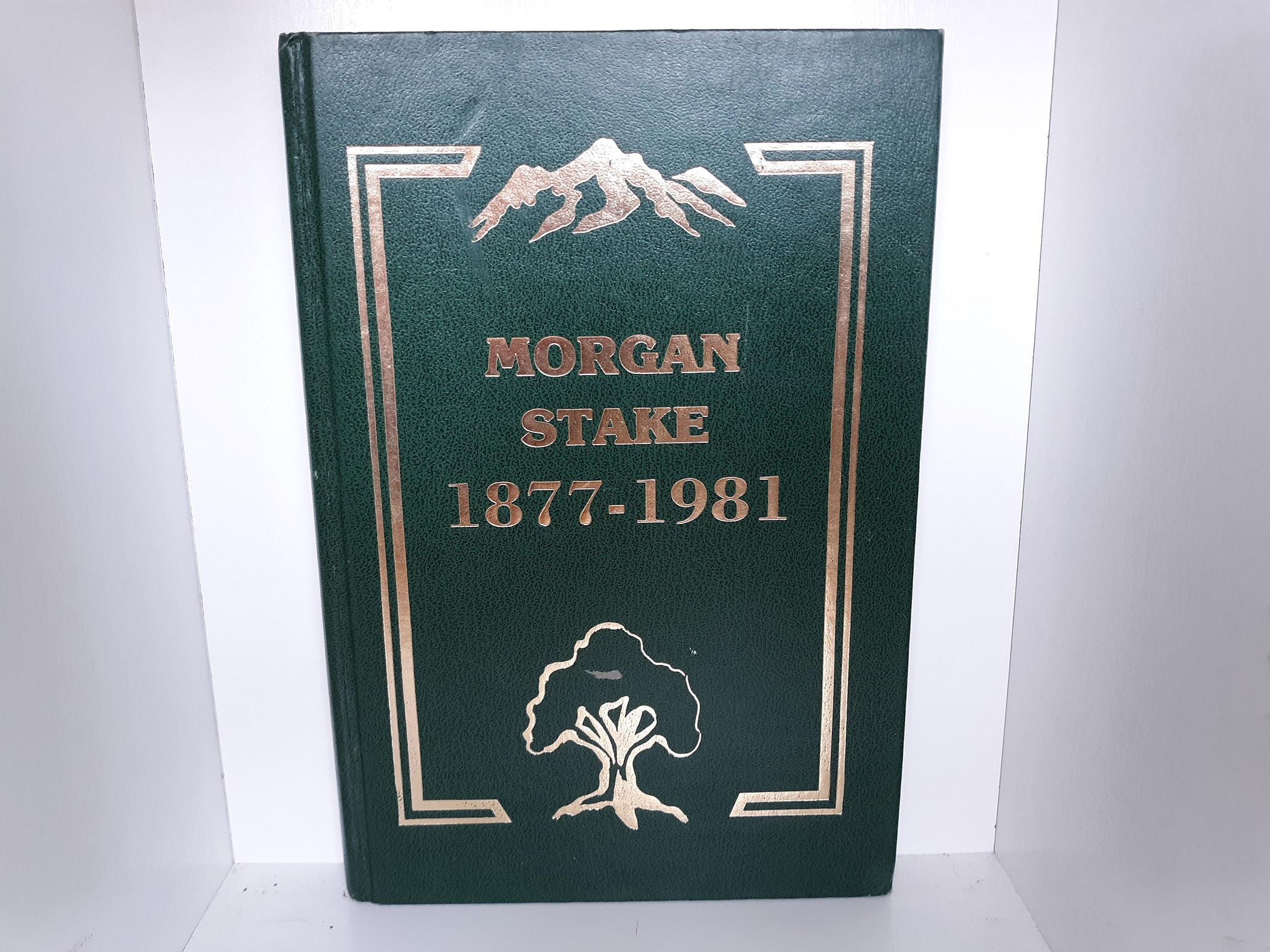 Morgan Stake: 1877-1981 (1988) ~ by Morgan Utah North Stake
