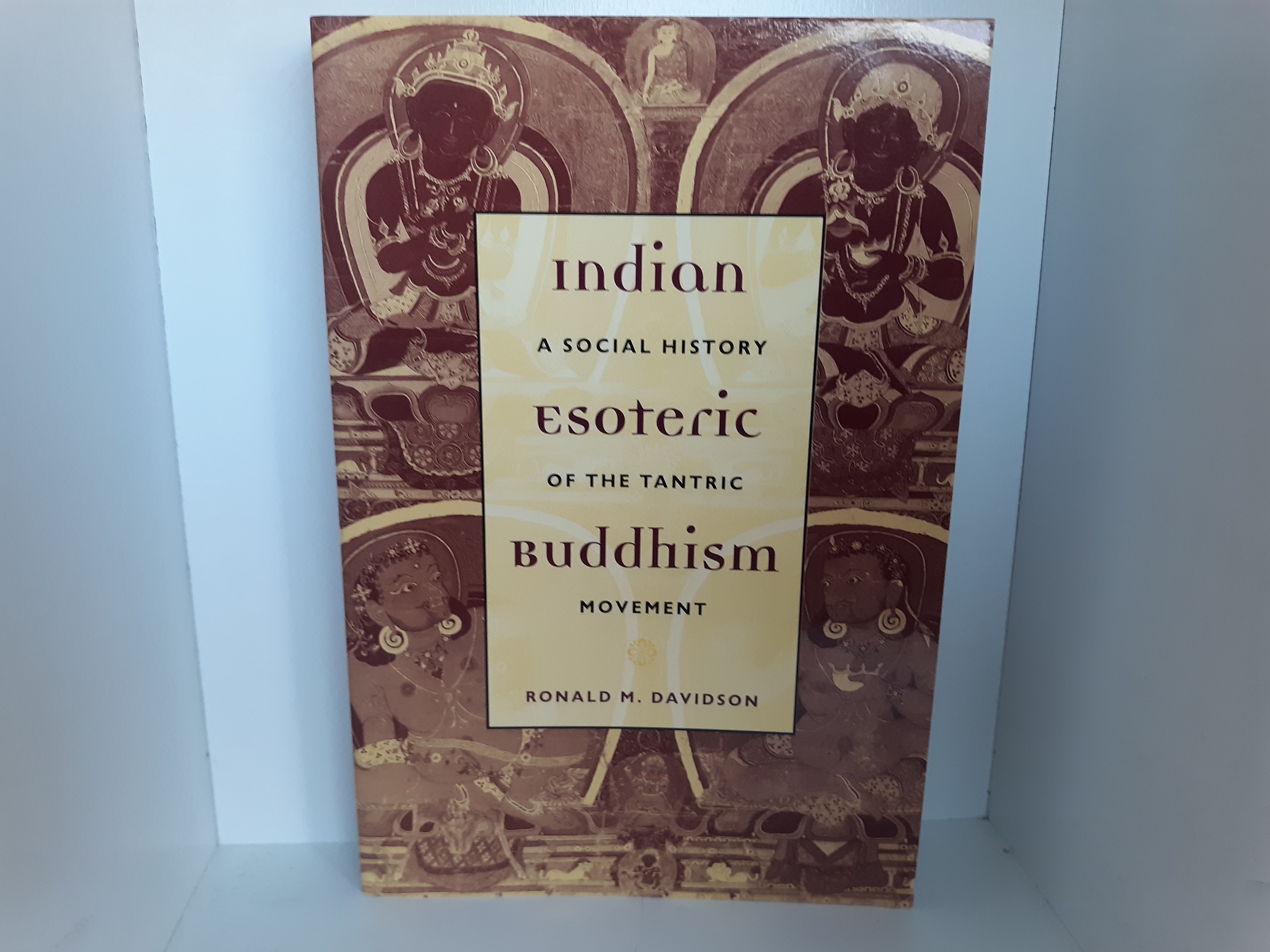Indian Esoteric Buddhism: A Social History of the Tantric Movement (2002) ~ by Ronald M. Davidson