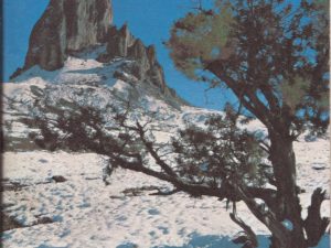 Relief Society Magazine — January 1968 — Single Issue Magazine