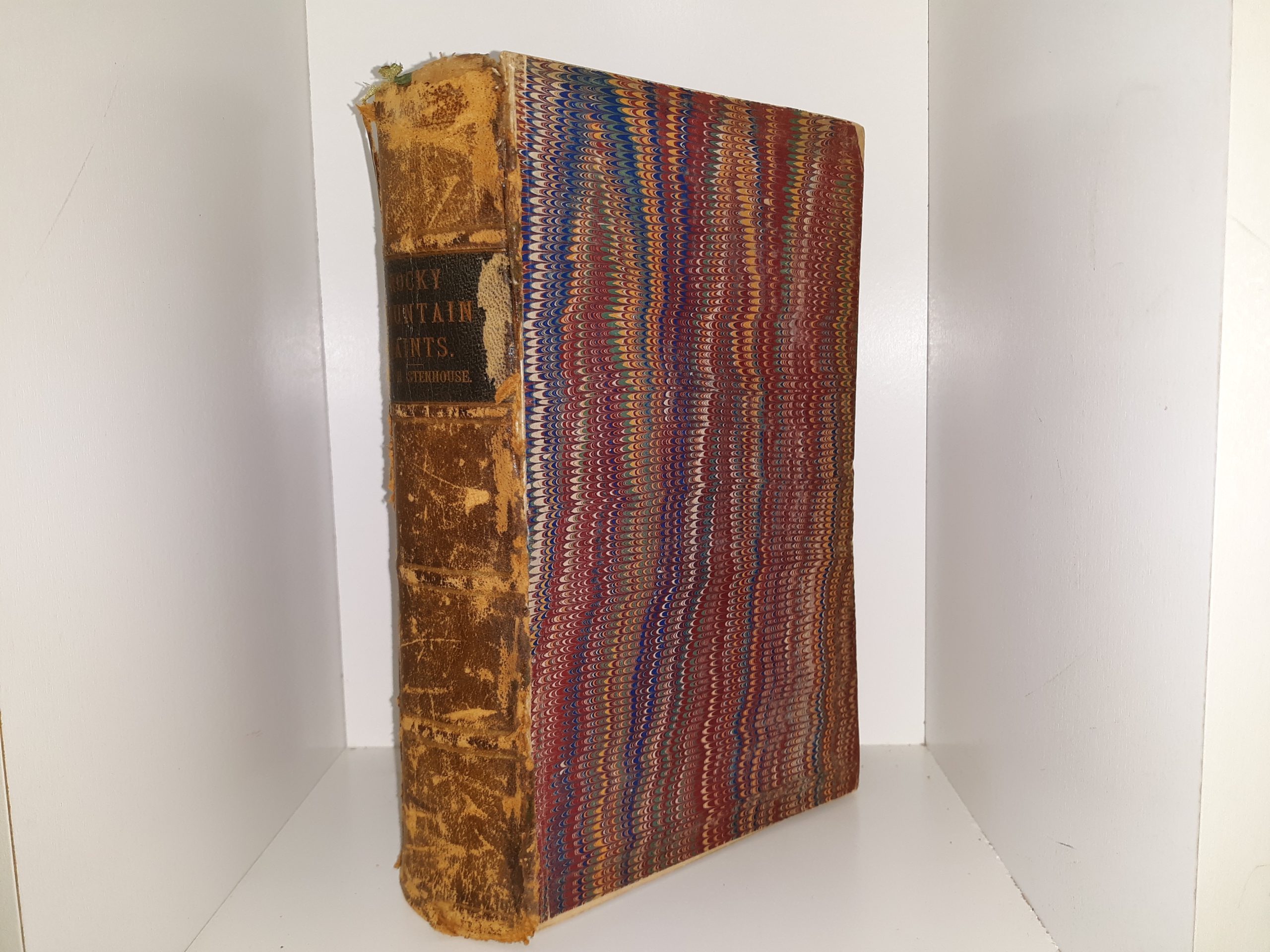 Rocky Mountain Saints (1873) ~ by T. B. H. Stenhouse