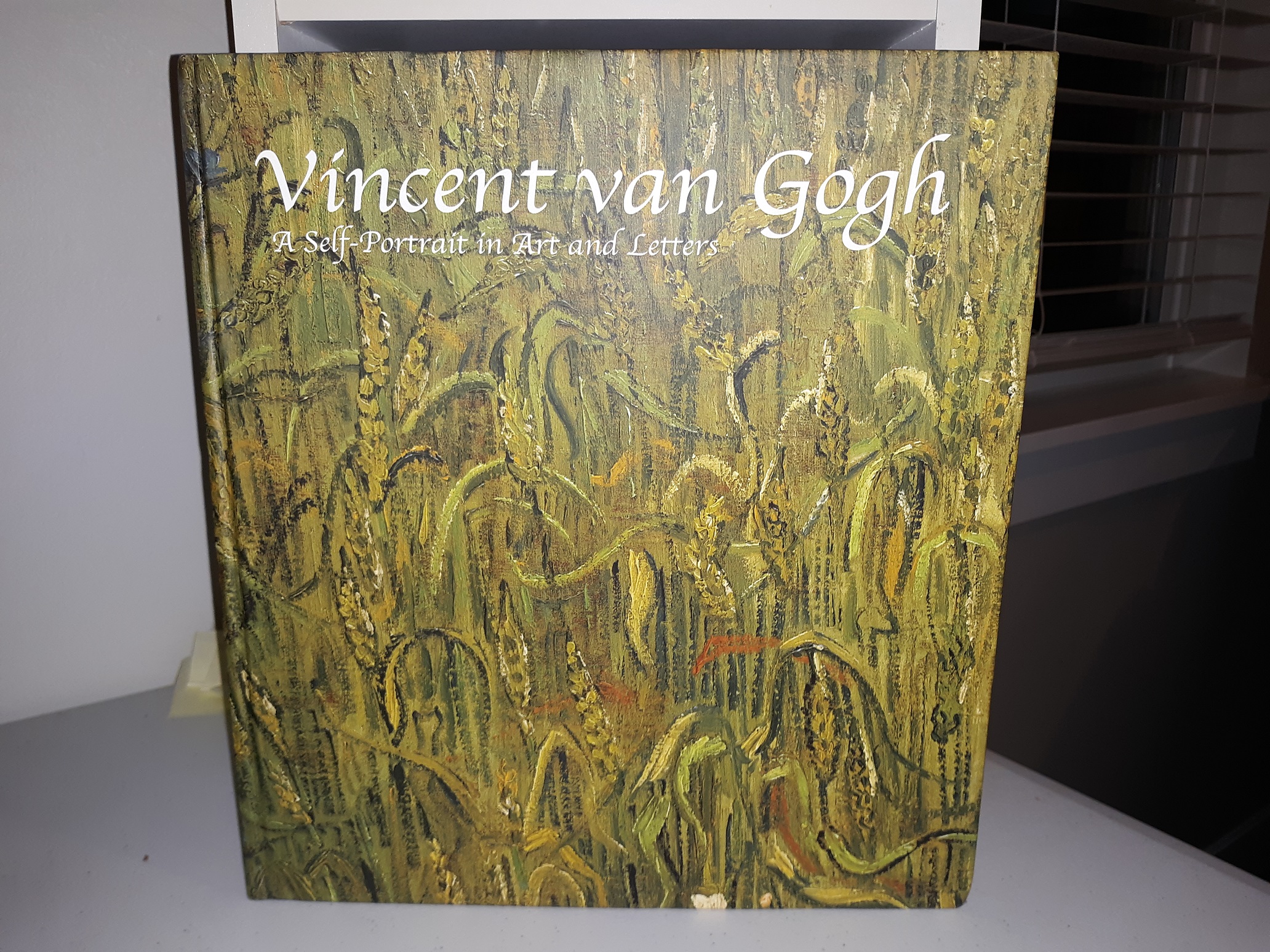 Vincent Van Gogh: A Self-Portrait in Art and Letters (Korean Edition) (2009) ~ by H. Anna Suh