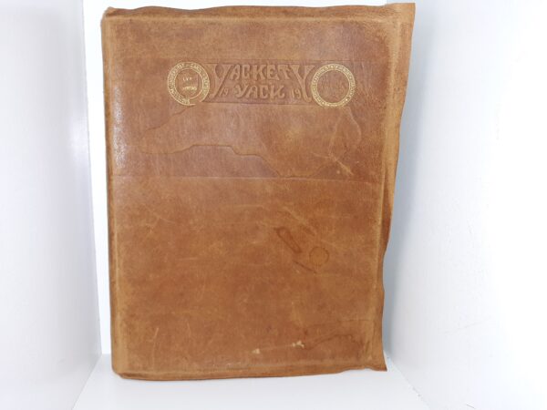 The Yackety Yack of Nineteen Hundred and Nineteen (University of North Carolina Yearbook) (1919)