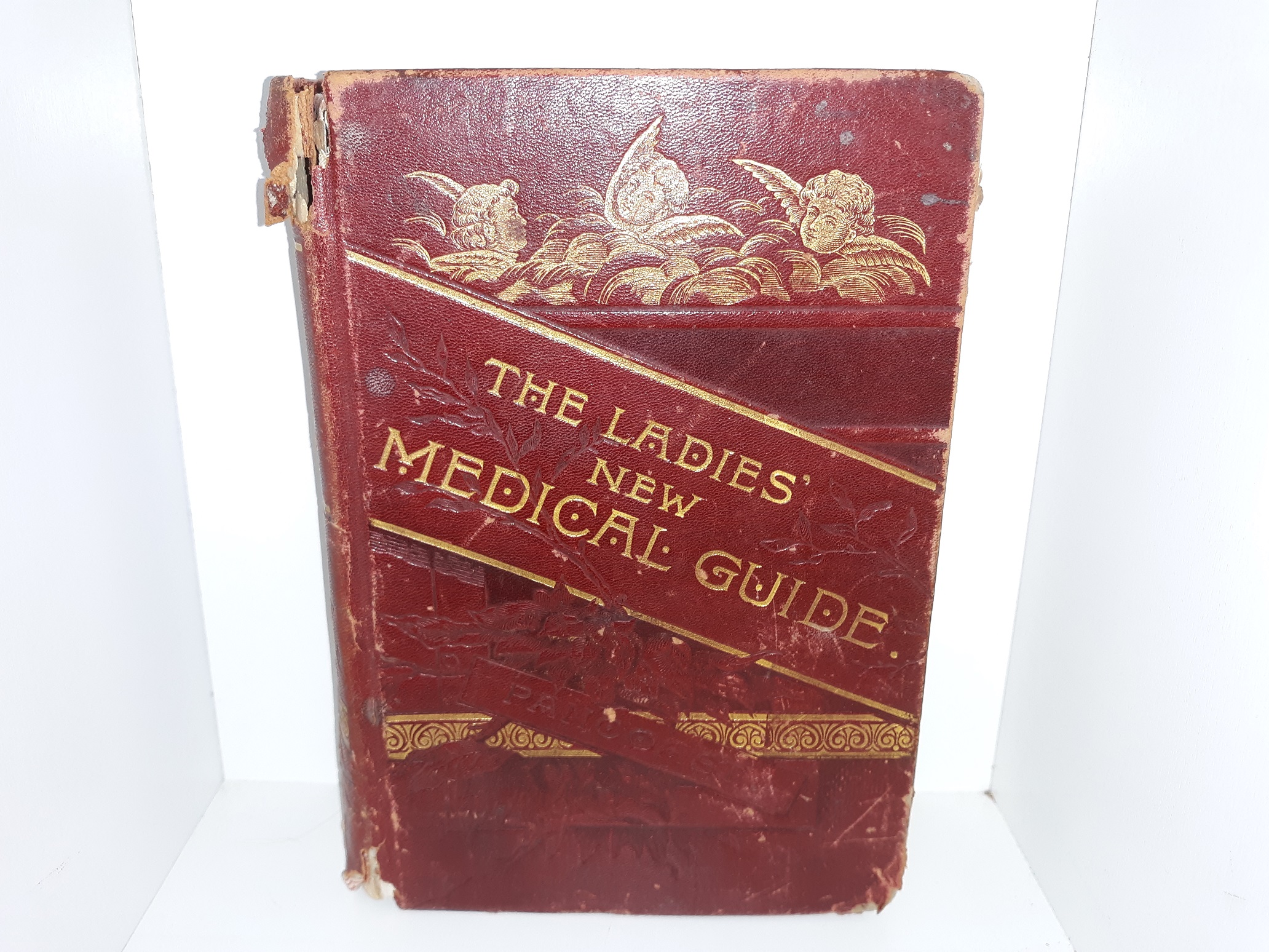 The Ladies New Medical Guide (Salt Lake City Edition) (1890) ~ by S. Pancoast, M. D.