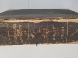 Conference Pamphlets — Misc. Issues Bound Together — April 1907 To Oct 1918 — 3/4 Leather Binding