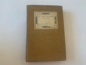 1923- On the Witness Stand- Hugo Musterberg