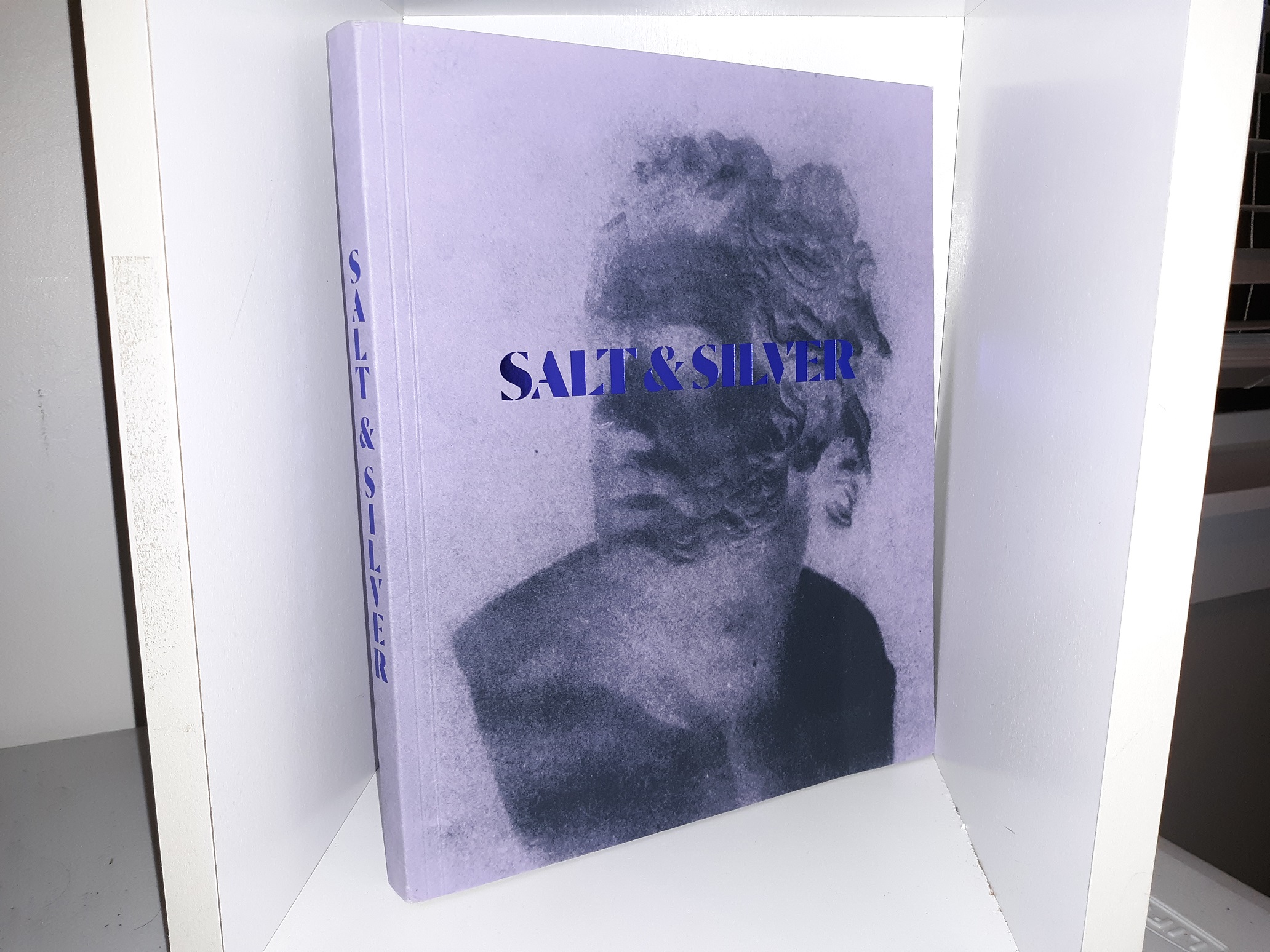 Salt & Silver: Early Photography, 1840-1860 ~ Edited by Marta Braun, and Hope Kingsley
