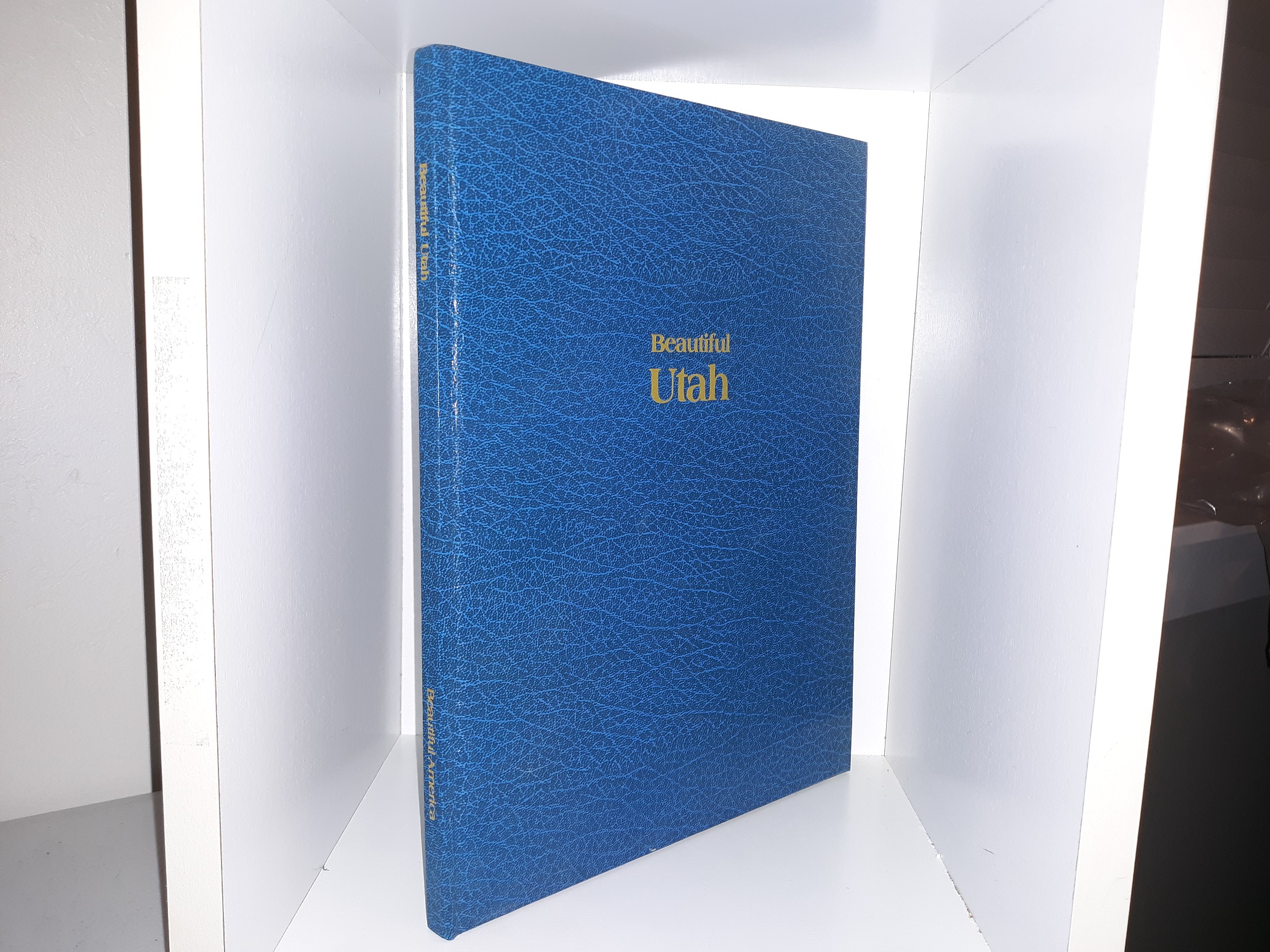 Beautiful Utah (1980) ~ by Paul M. Lewis