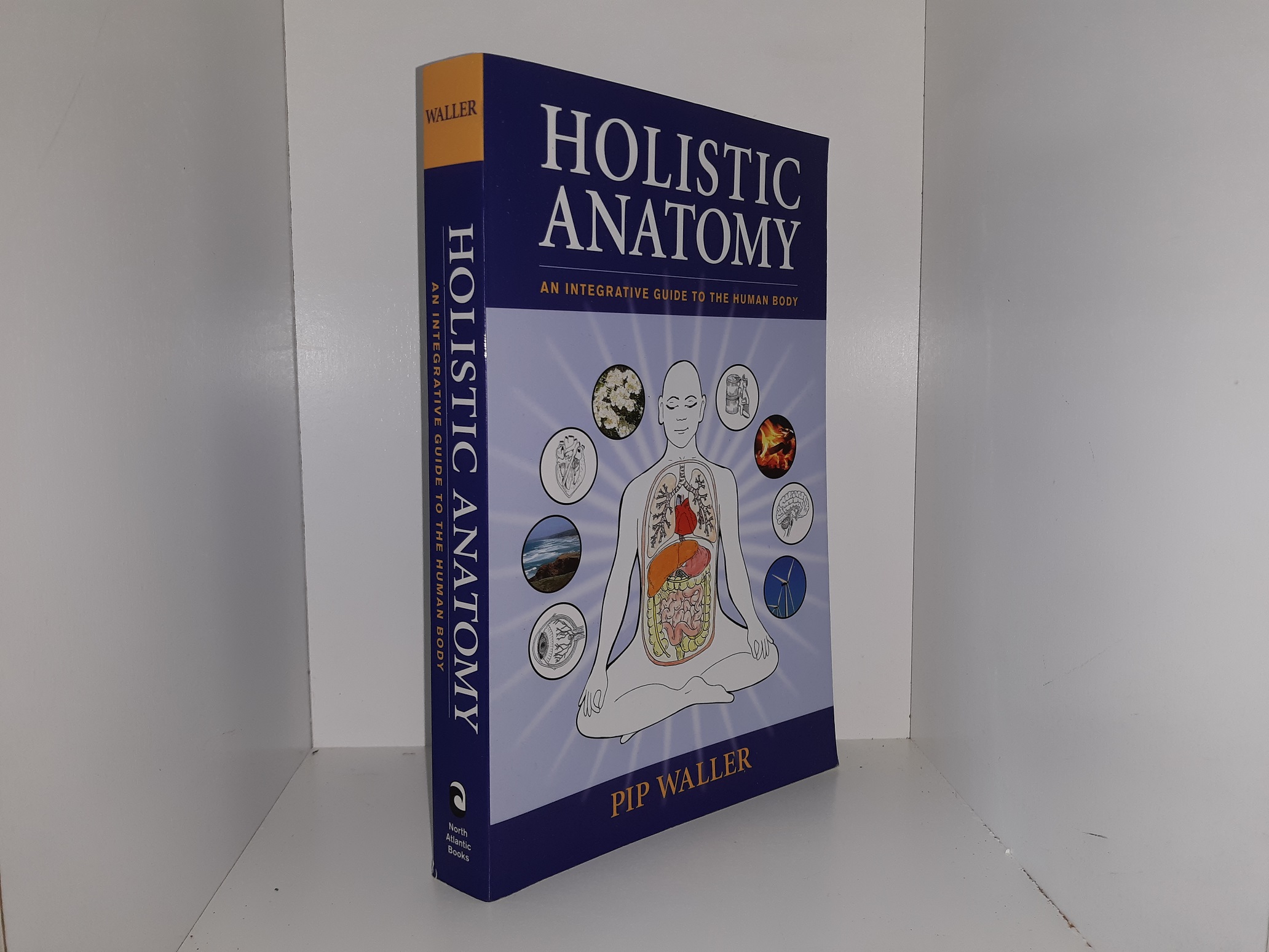 Holisitc Anatomy: An Integrative Guide to the Human Body (2010) ~ by Pip Waller