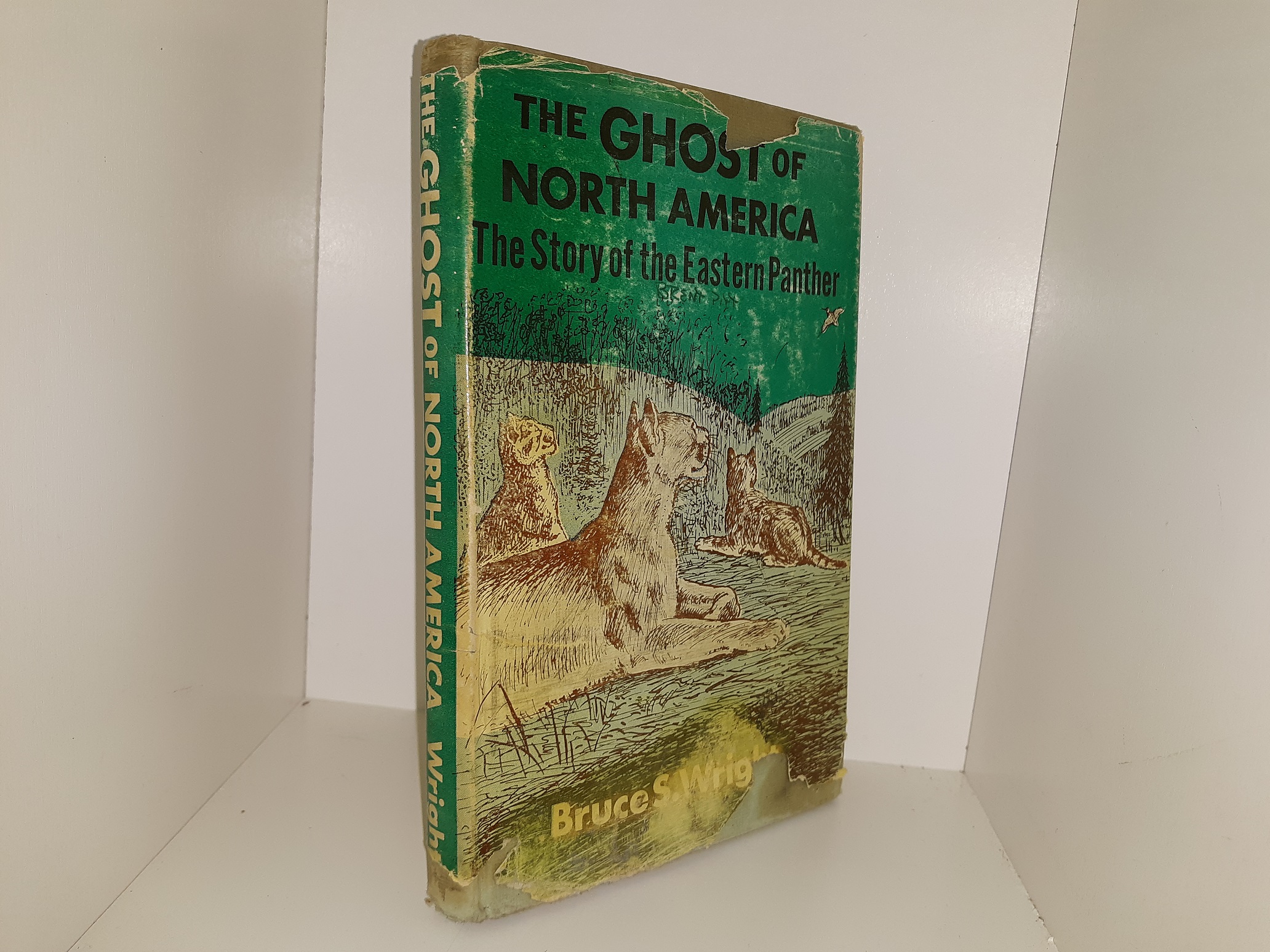 The Ghost of North America: The Story of the Eastern Panther (1959) ~ by Bruce S. Wright