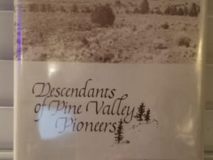 1980 — Descendants of Pine Valley Pioneers — Mary Esther Staheli — Signed by Author — Great Dust Jacket!