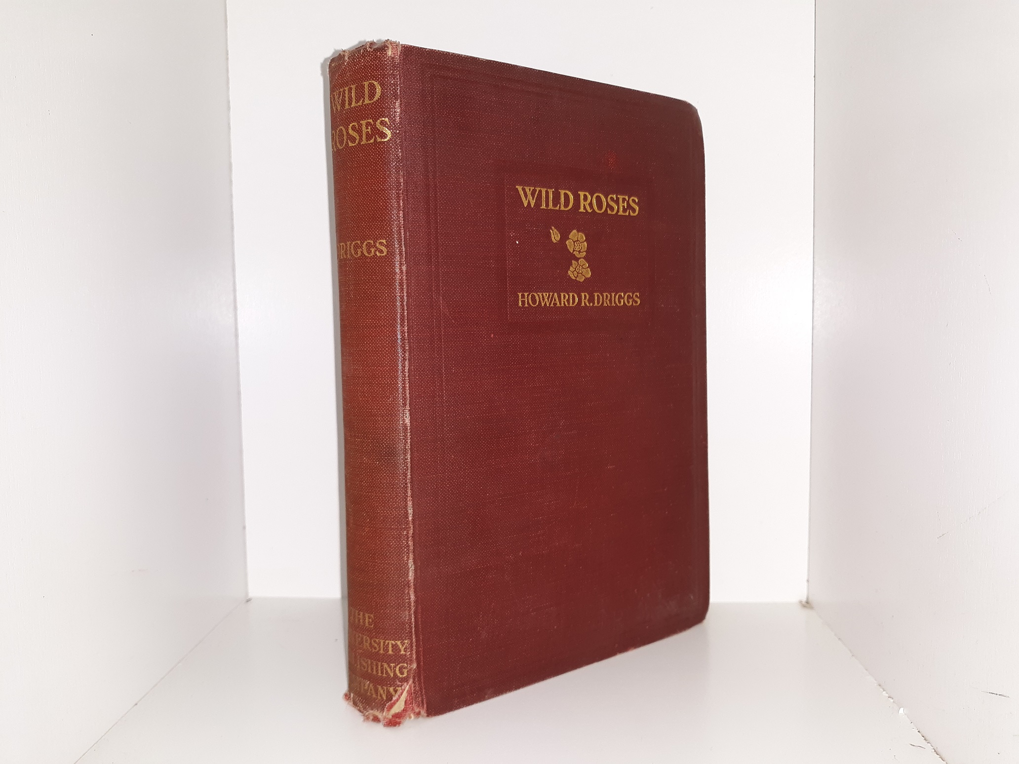 Wild Roses (1916) ~ by Howard R. Driggs