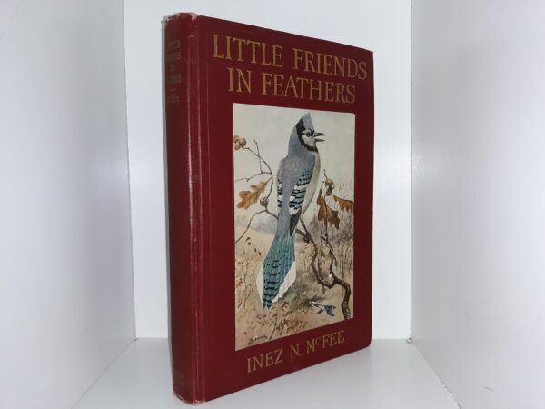 Little Friends in Feathers (1921) ~ by Inez N. McFee