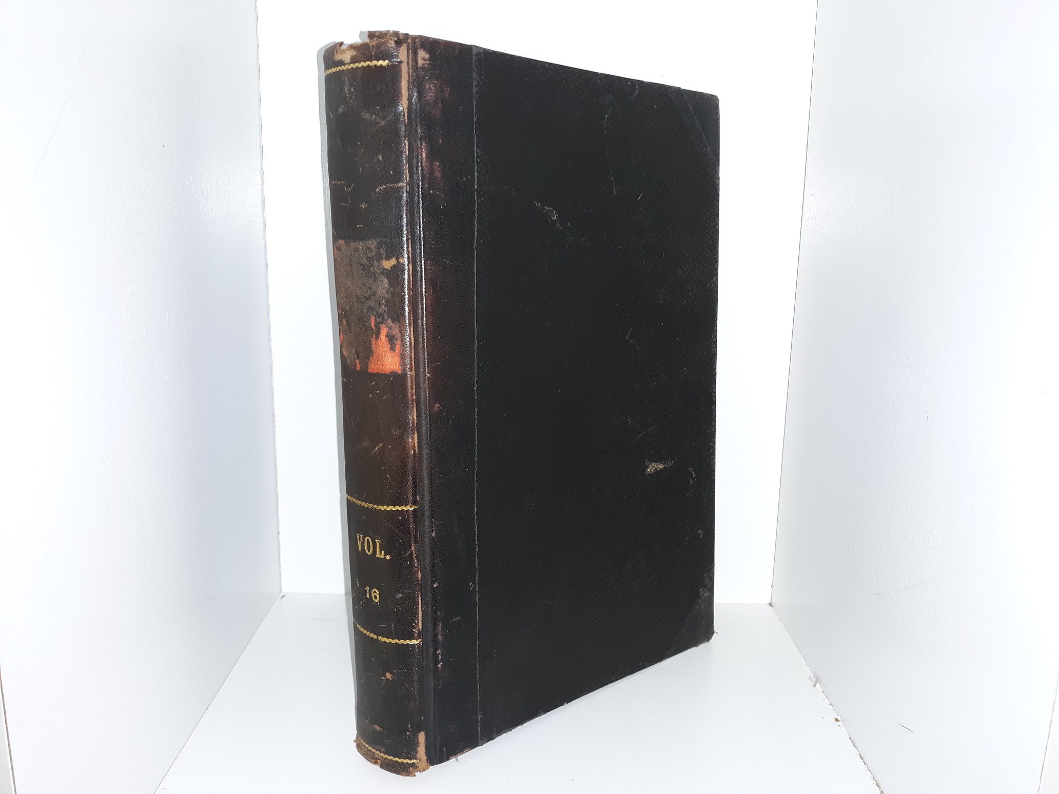 The Young Woman’s Journal: Vol. 16 (1905)