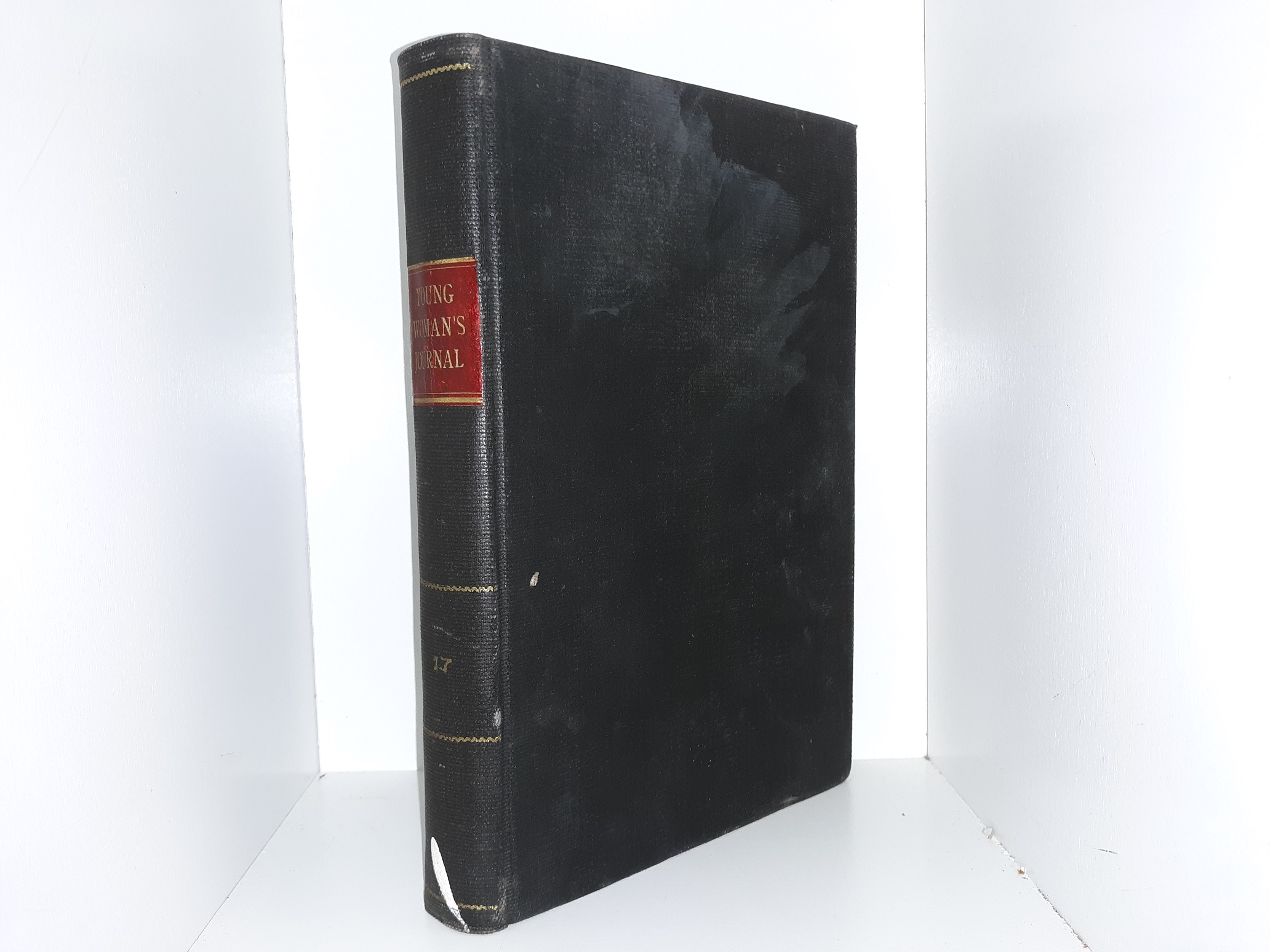 Young Woman’s Journal: Vol. 17 (1906)