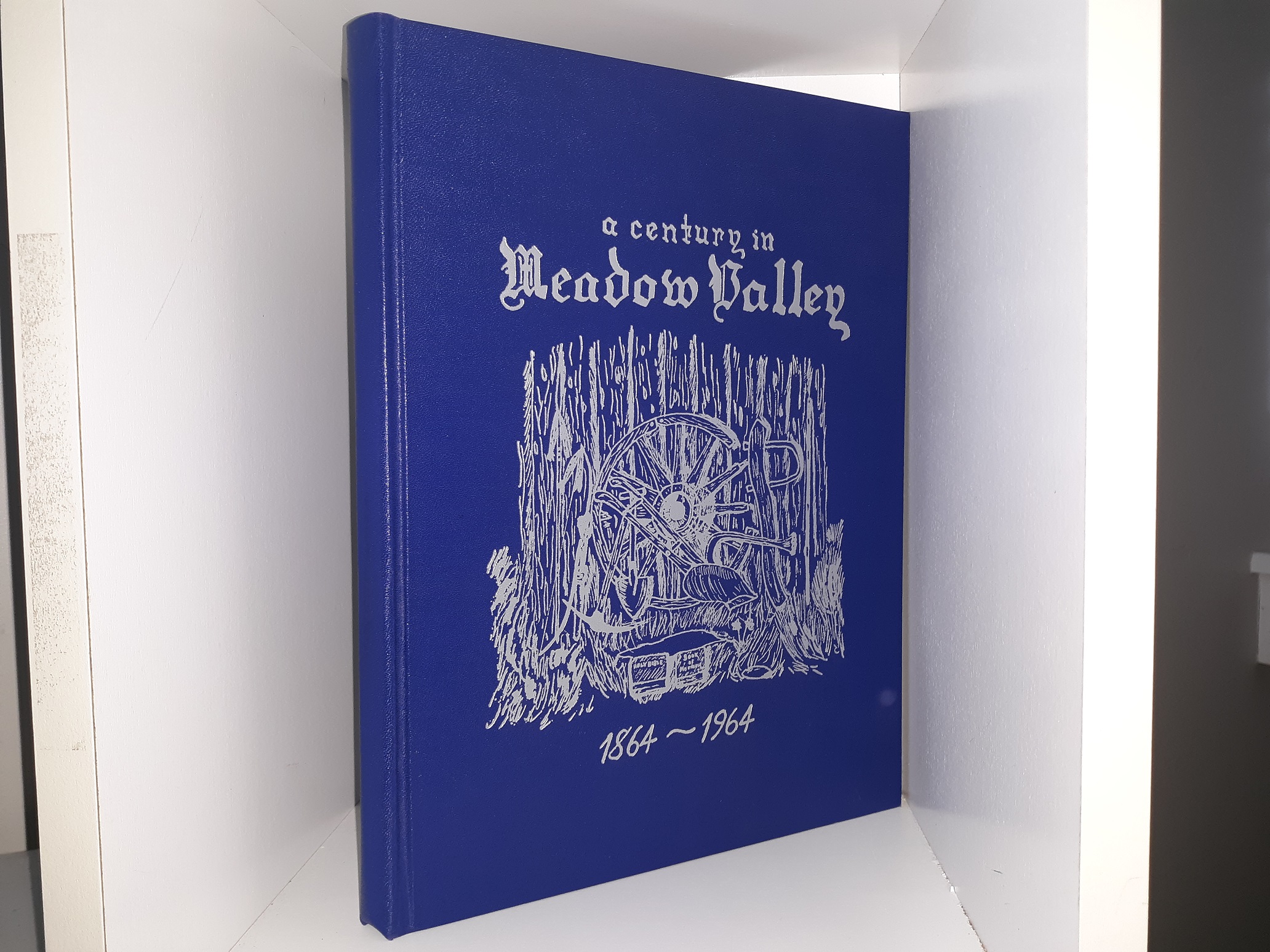 A Century in Meadow Valley: 1864-1964 (1966) ~ Compiled and Edited by Panaca Centennial Boo Committee