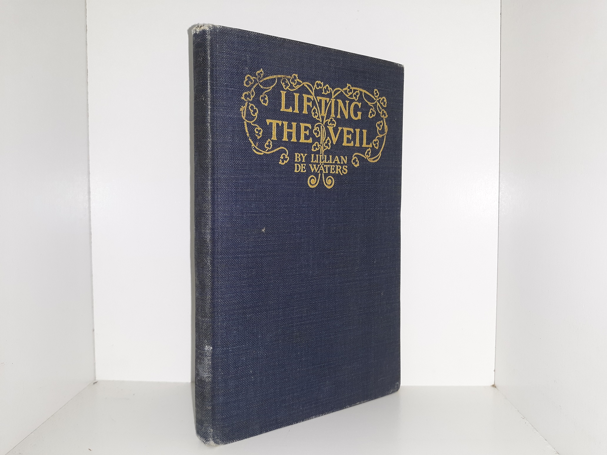 Lifting the Veil (1921) ~ by Lillian De Waters