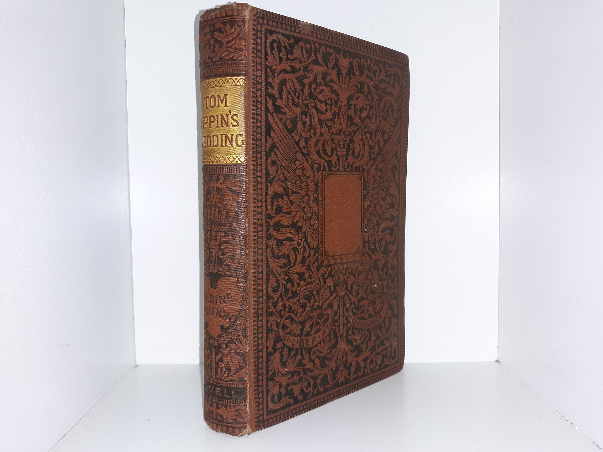 Tom Pippin’s Wedding (Aldine Edition) ~ by Henry William Pullen