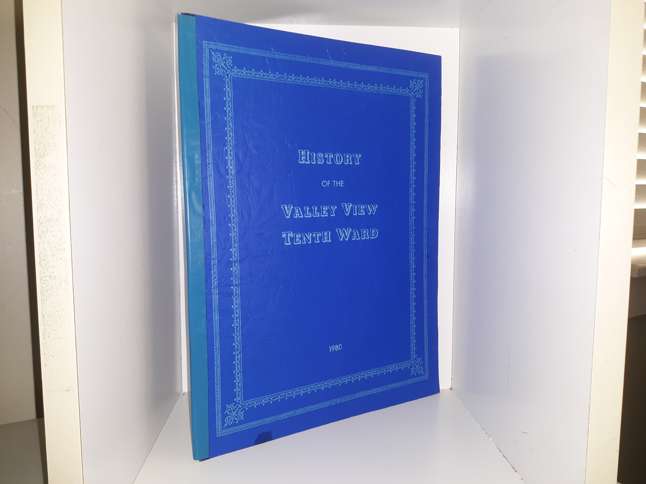 History of the Valley View Tenth Ward (1980)