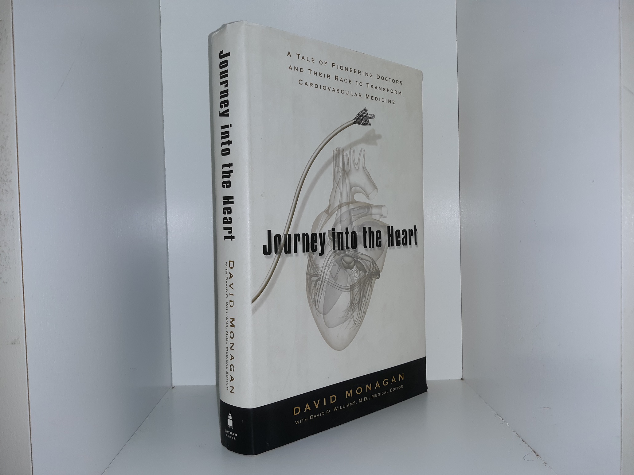 Journey into the Heart (2007) ~ by David Monagan