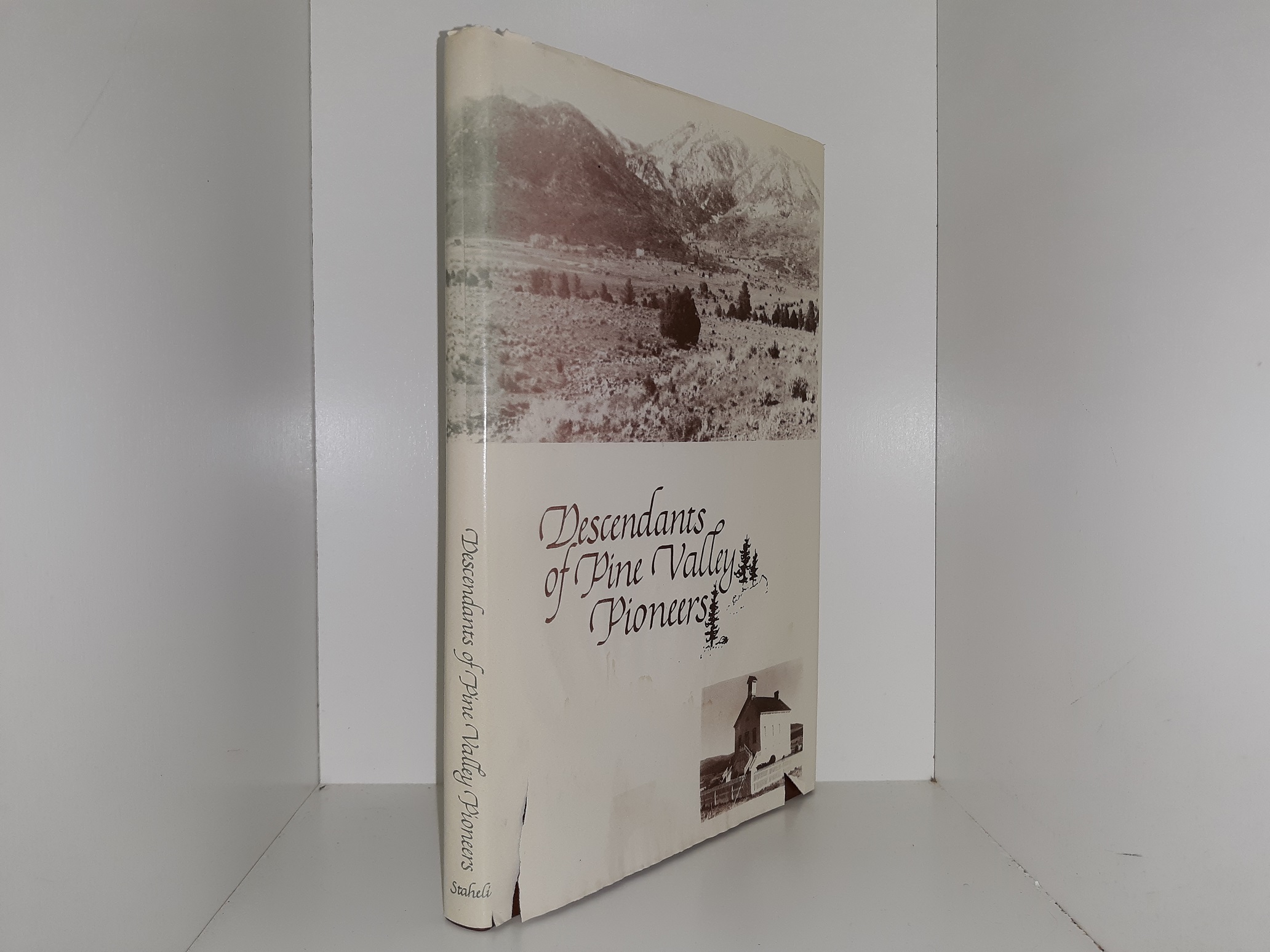 Descendants of Pine Valley Pioneers (Signed) (1980) ~ by Mary Esther Staheli