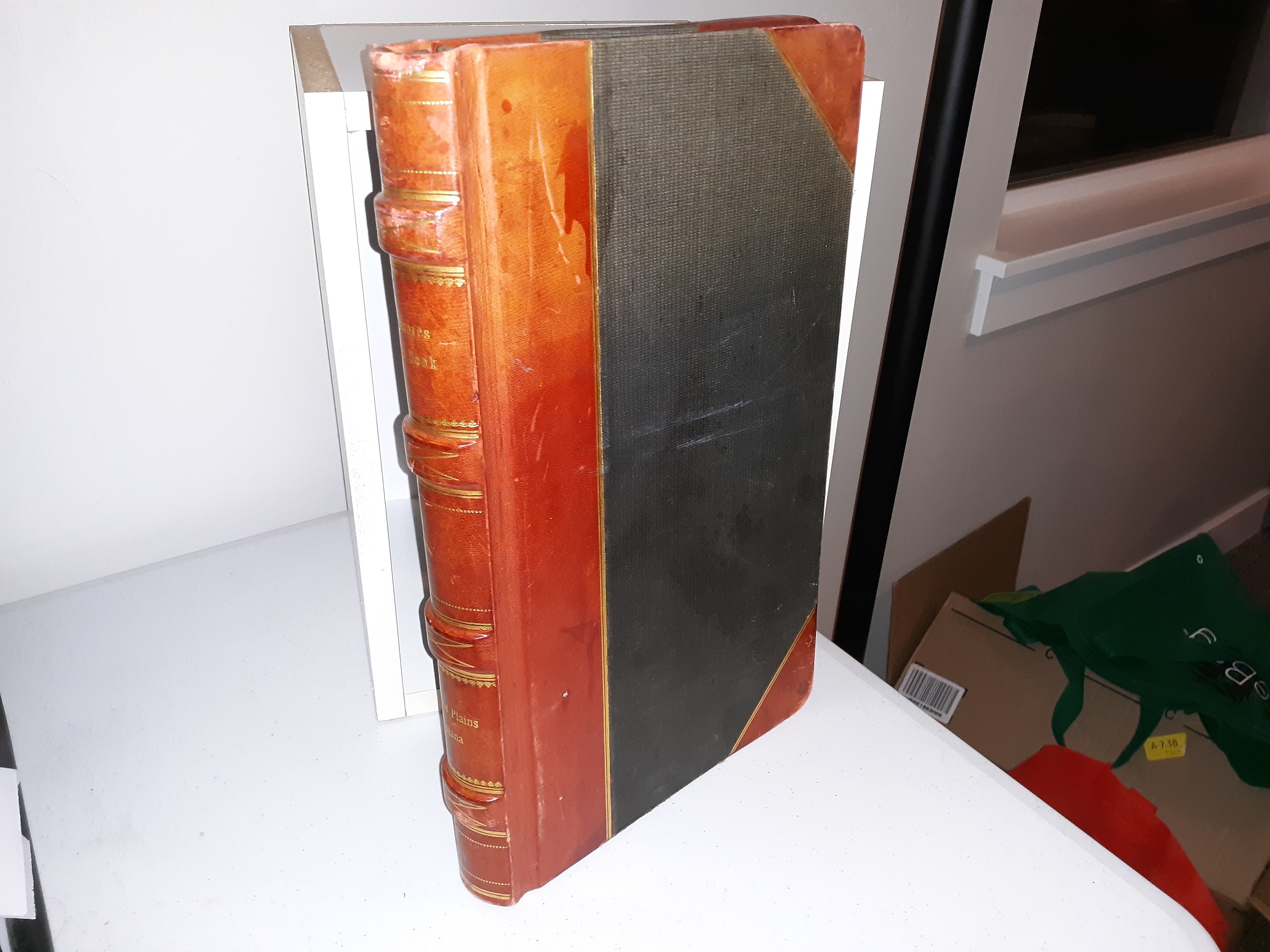 Treasures Cash Book: City of Plains, Montana (Typewriter Book) (3/4 Leather)