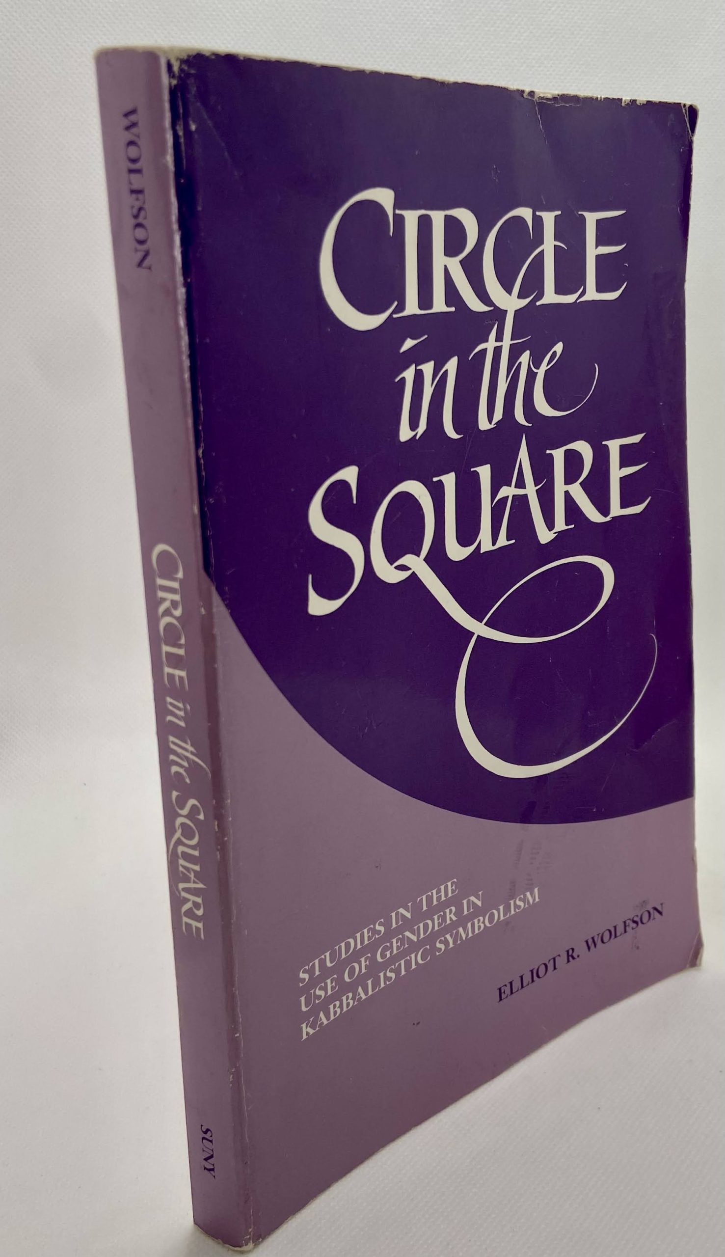 Circle in the Square: Studies in the Use of Gender in Kabbalistic Symbolism (1995) by Elliot R. Wolfson