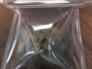 Early Medieval to Viking Age Bell from the Baltic Region of Northern Europe Ca. 400-800 AD --- Found with a Metal Detector