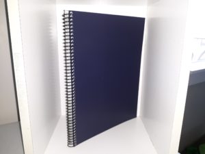 History of the Mormon Missionary Movement in South America to 1940 (Bound Photo-Copy) (1961) ~ by John DeLon Peterson