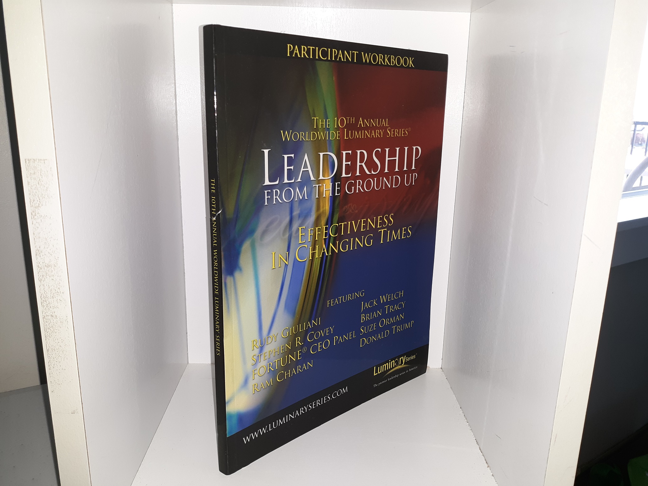 The 10th Annual Worldwide Luminary Series: Effectiveness In Changing Times (Participant Workbook)