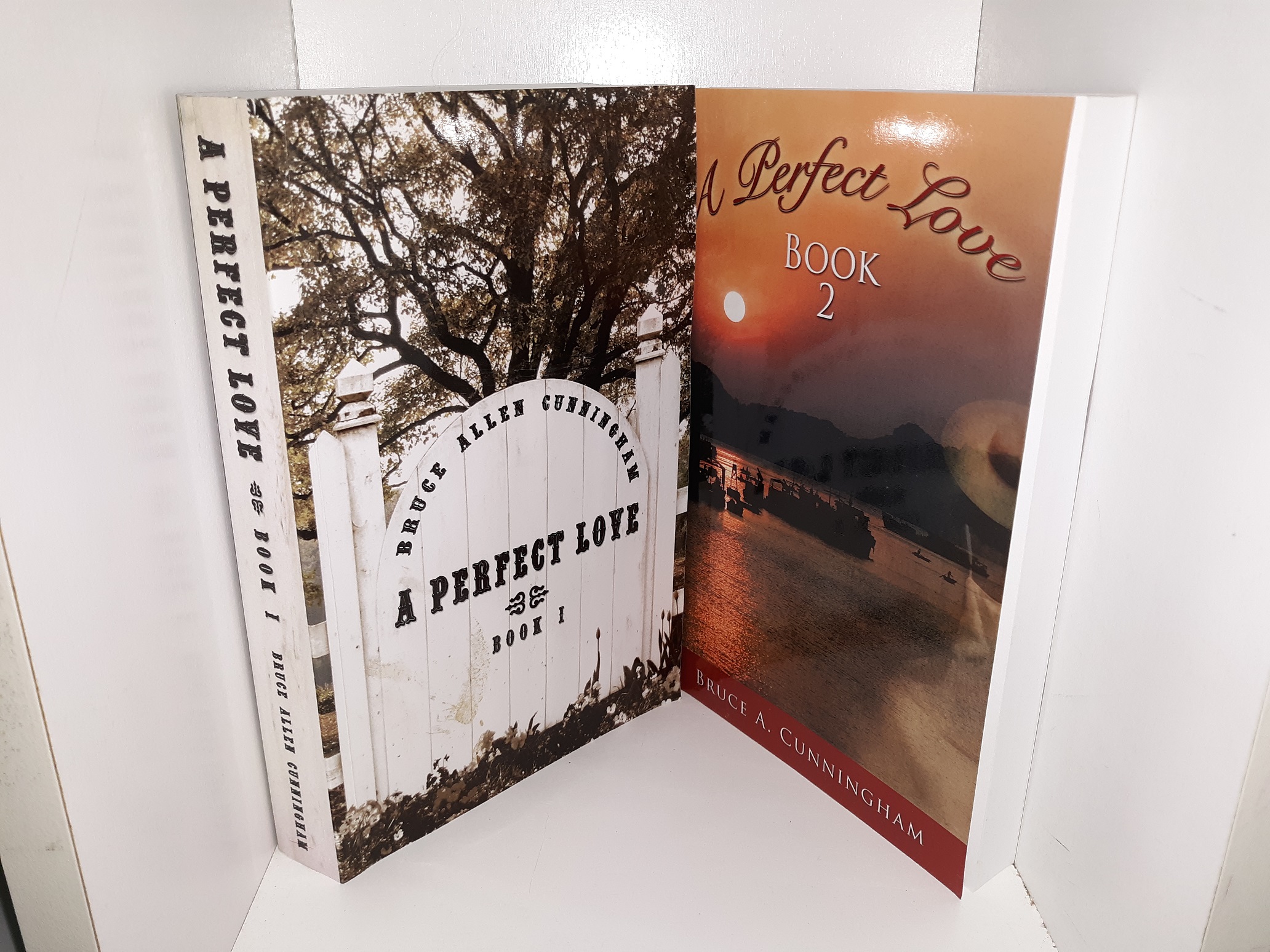 A Perfect Love 2 Vol. Set (2008) ~ by Bruce Allen Cunningham