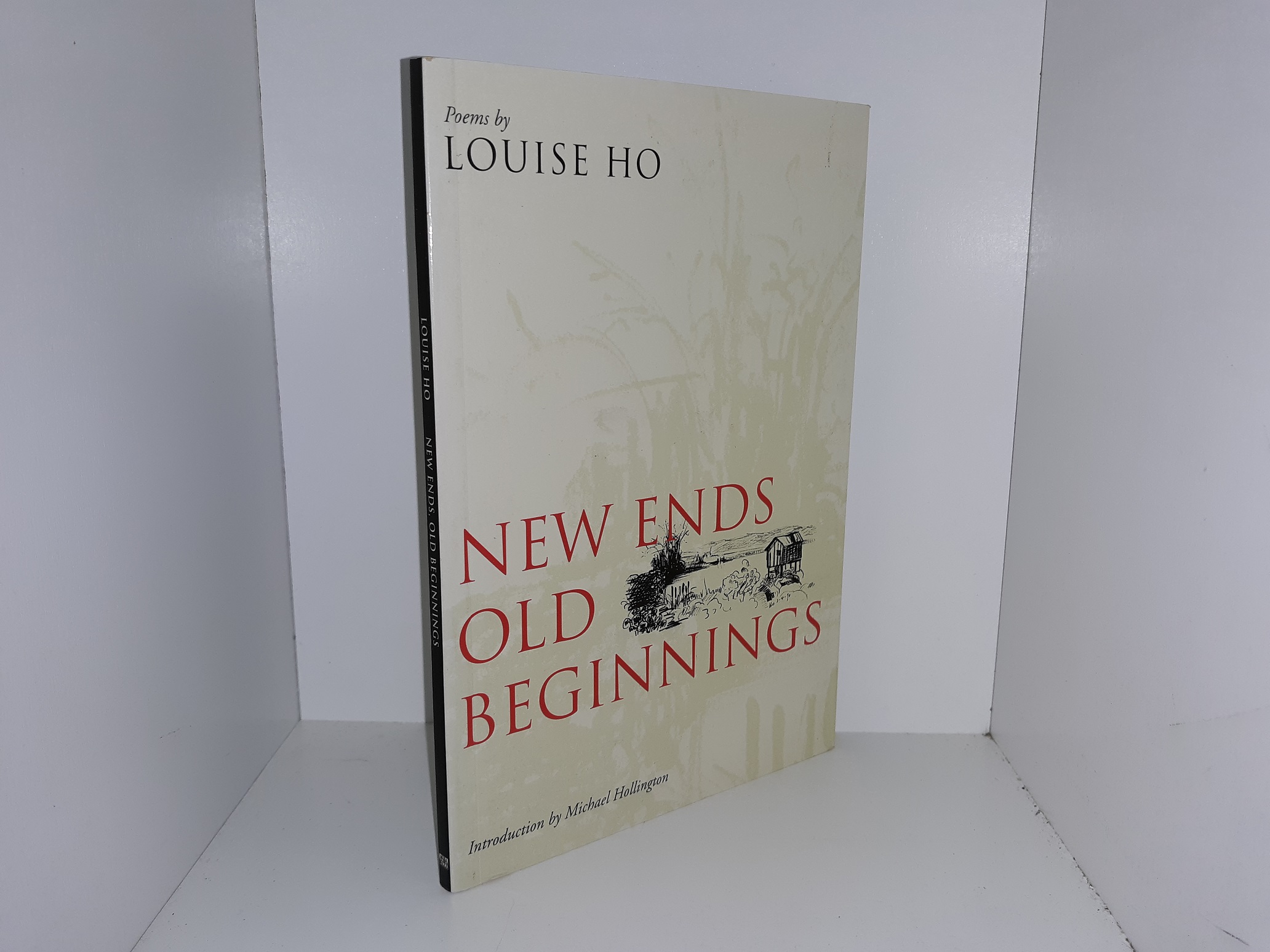 New Ends Old Beginnings (1997) ~ by Louise Ho