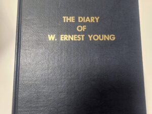 The Diary of W. Ernest Young by W. Ernest Young(hardcover, 1973)