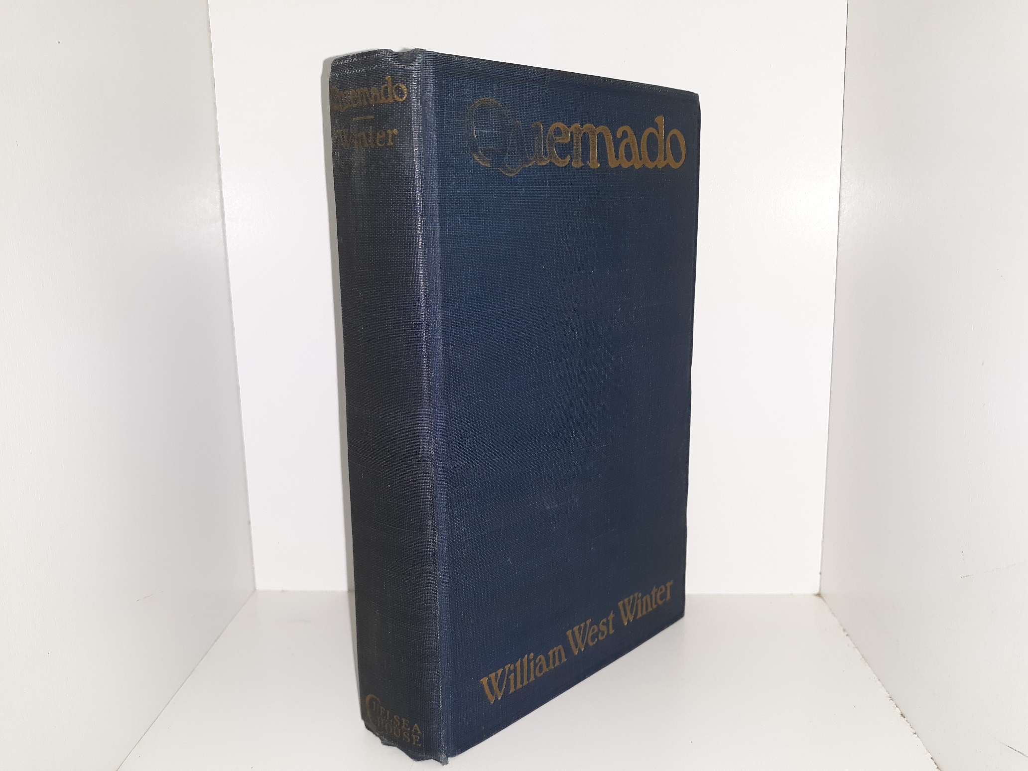 Quemado (1923) ~ by William West Winter