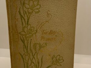 The Boy Peddler (1899) by Eunice Mabel Peck