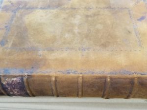 1784 — Book of Martyrs — Folio Size / Leather Binding — Very Large Heavy Book!