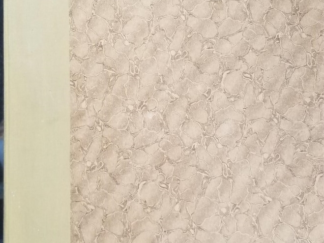 Church News — Year Bound Together — January – December — (1955) --- Complete